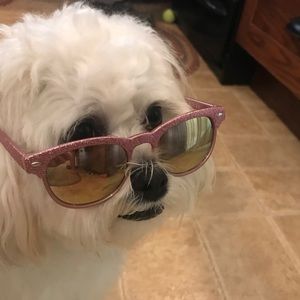 Meet your Posher, Tina